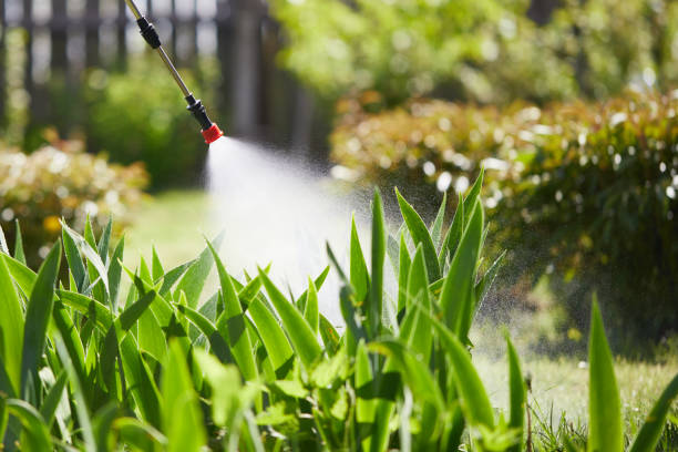 24/7 Emergency Ant Control experts in Ridgecrest, FL